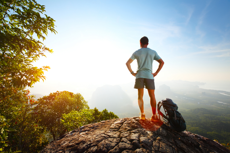 moving house moving services